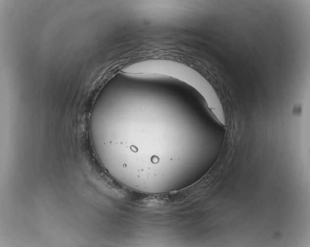 X0000112540756200908311446