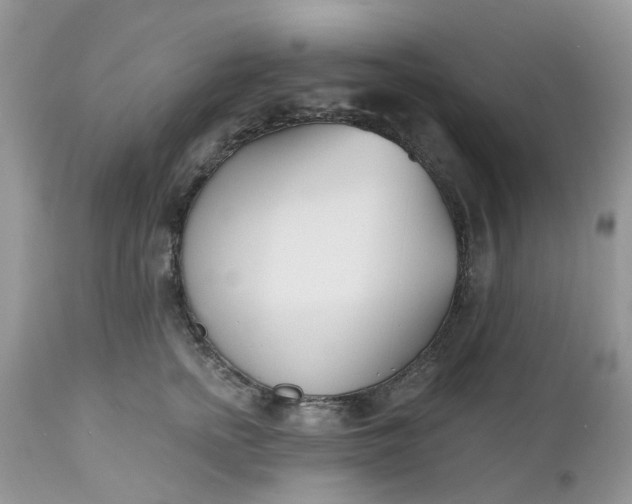 X0000112540758200908311446