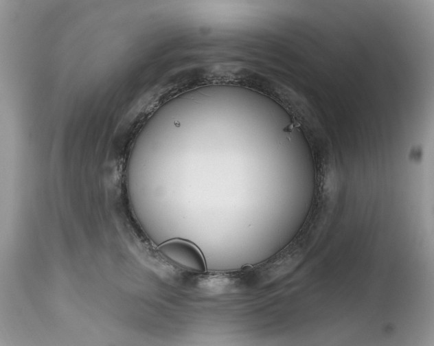 X0000112540759200908311446