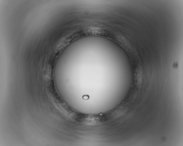X0000112540760200908311446