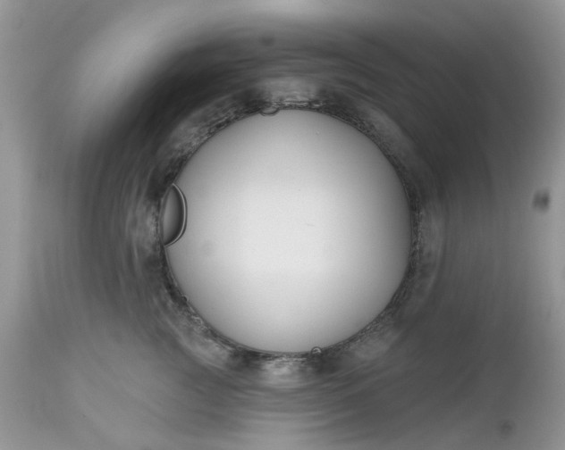 X0000112540761200908311446