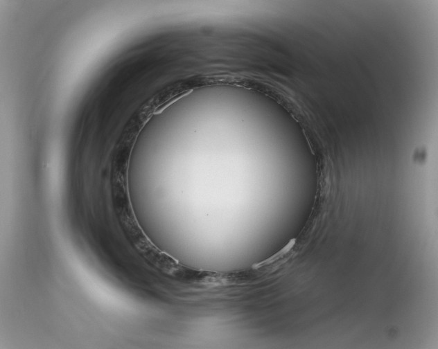 X0000112540764200908311446