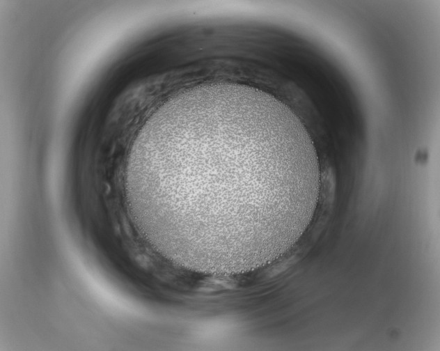 X0000112540765200908311446
