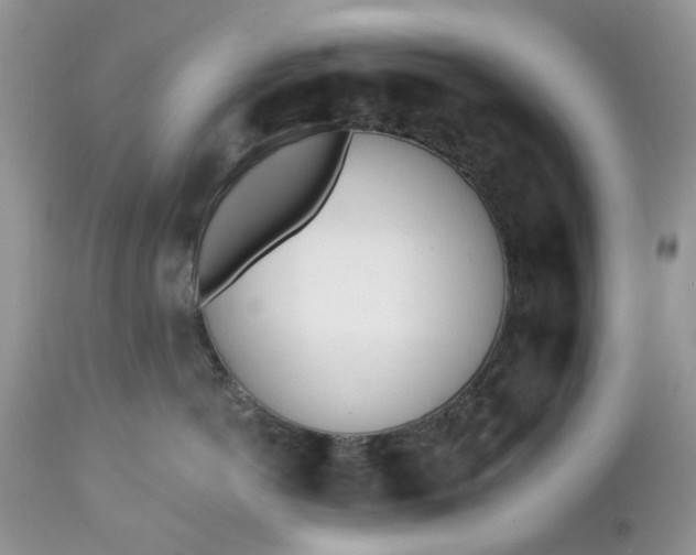X0000112540766200908311446