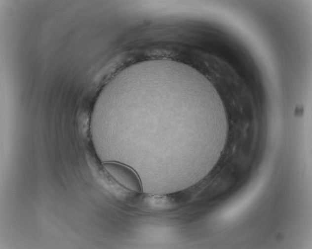 X0000112540767200908311446