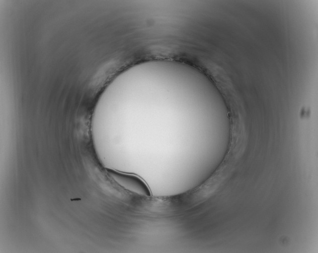 X0000112540768200908311446