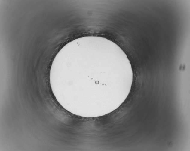 X0000112540769200908311446
