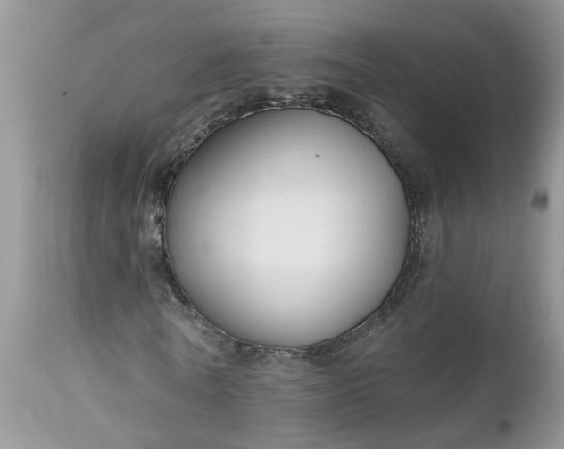 X0000112540770200908311446