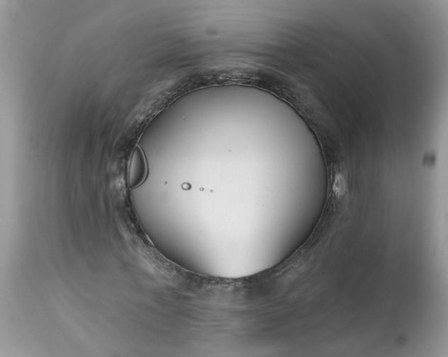 X0000112540771200908311446