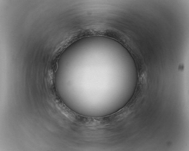 X0000112540772200908311446