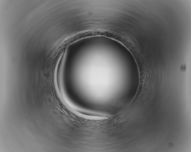 X0000112540773200908311446