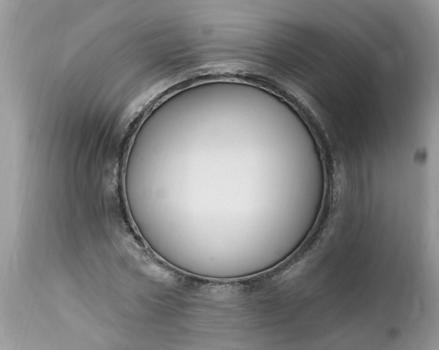 X0000112540778200908311445