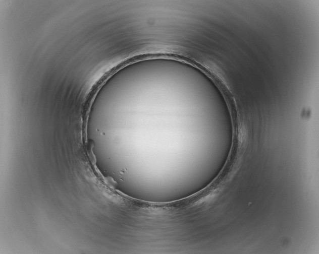 X0000112540781200908311445