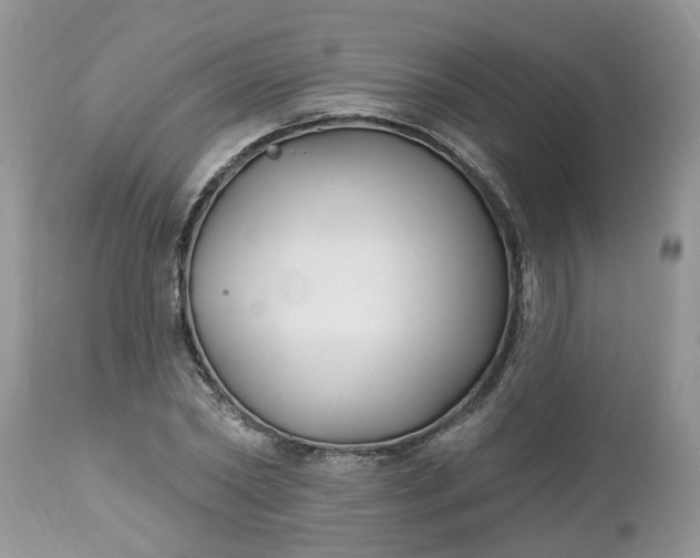 X0000112540782200908311445
