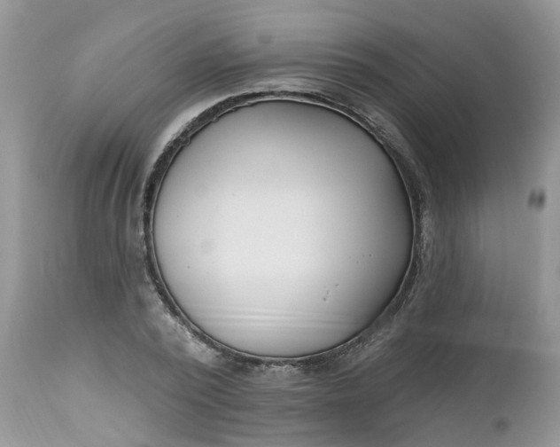 X0000112540784200908311445