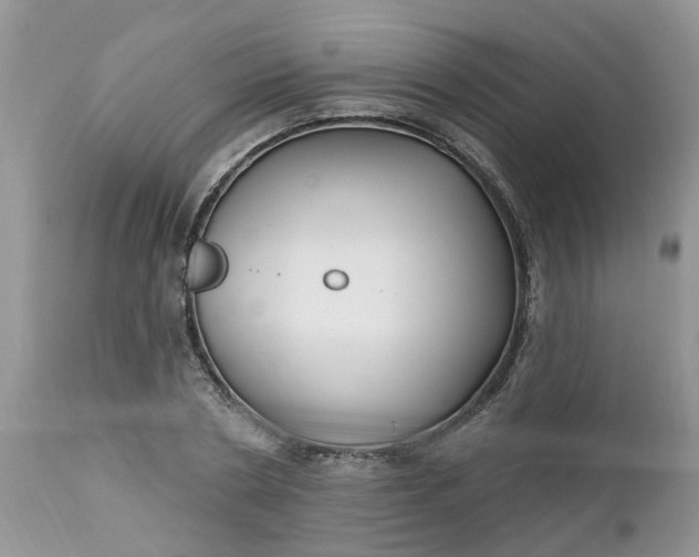 X0000112540786200908311445