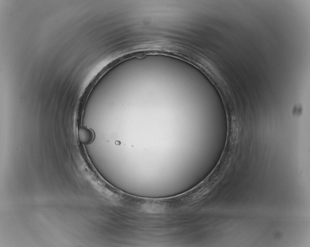 X0000112540788200908311445