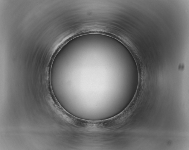X0000112540790200908311445