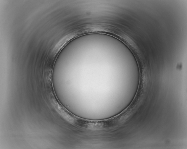 X0000112540793200908311445