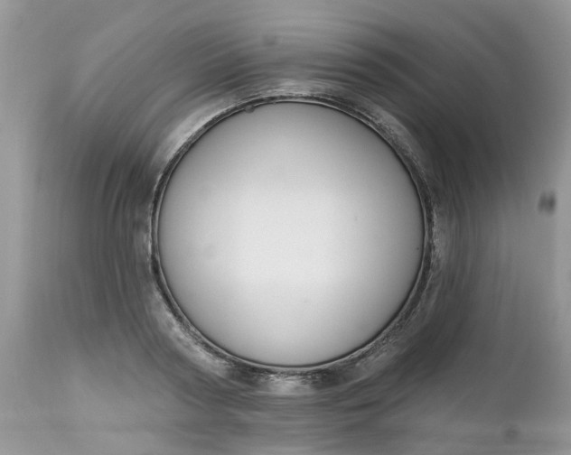 X0000112540794200908311445