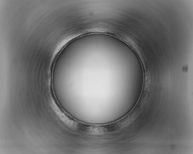 X0000112540795200908311445