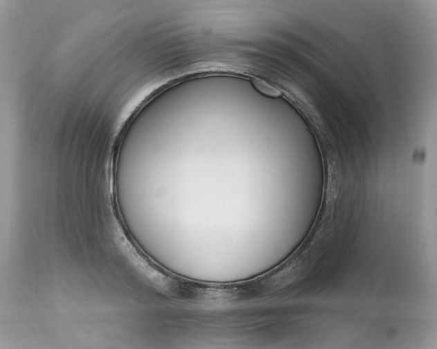 X0000112540796200908311445