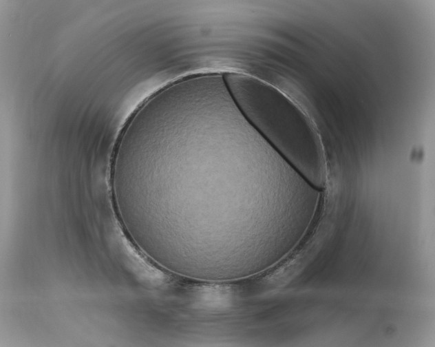 X0000112540797200908311445