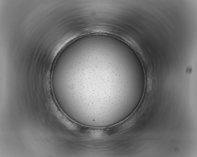 X0000112540798200908311445