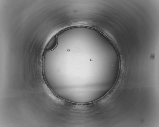 X0000112540800200908311445
