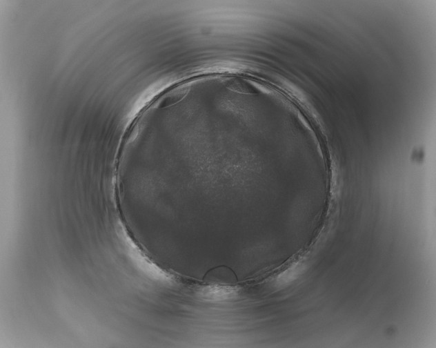 X0000112540802200908311445