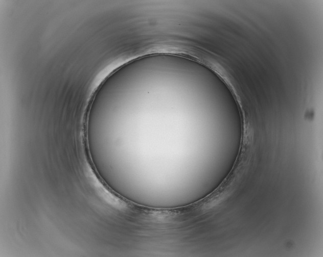 X0000112540803200908311445