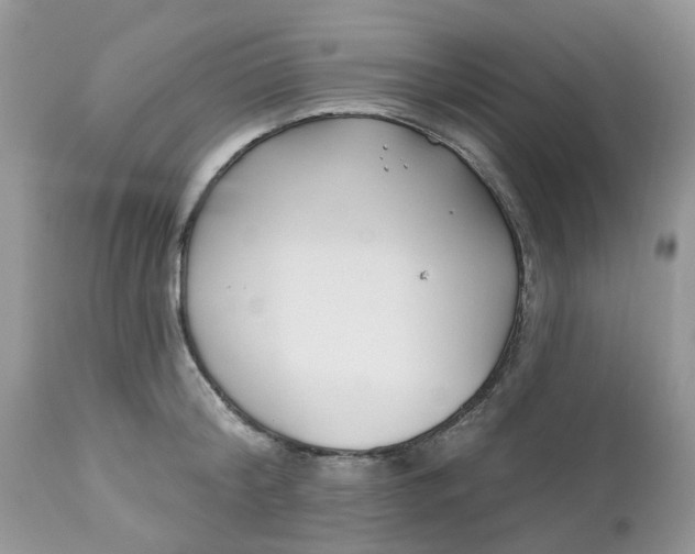 X0000112540804200908311445