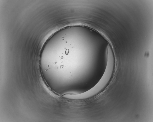 X0000112540805200908311445