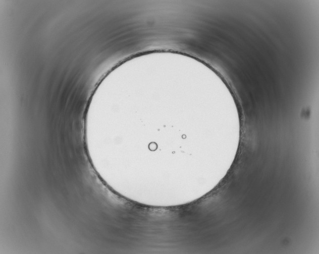 X0000112540807200908311445