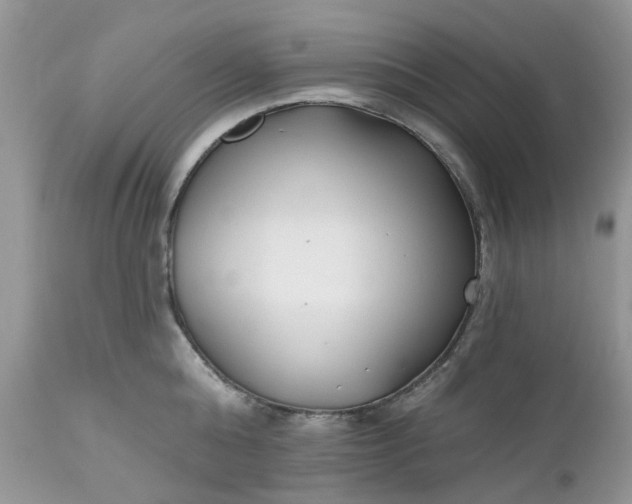 X0000112540808200908311445