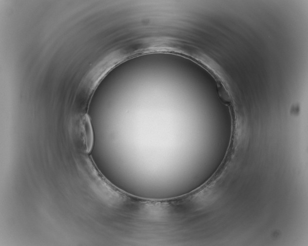 X0000112540809200908311445