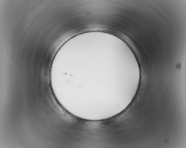 X0000112540810200908311445
