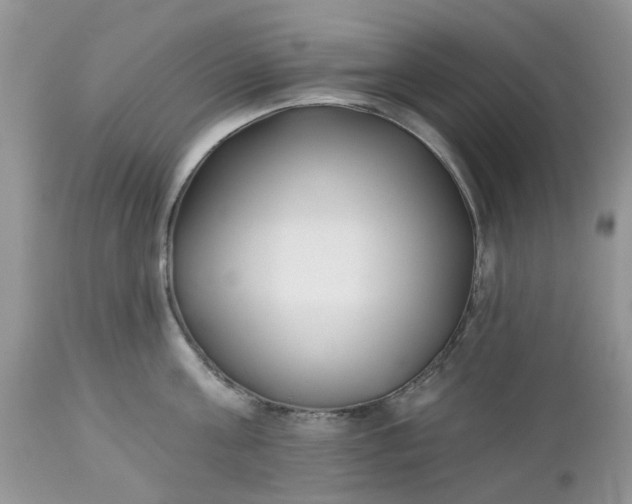 X0000112540811200908311445