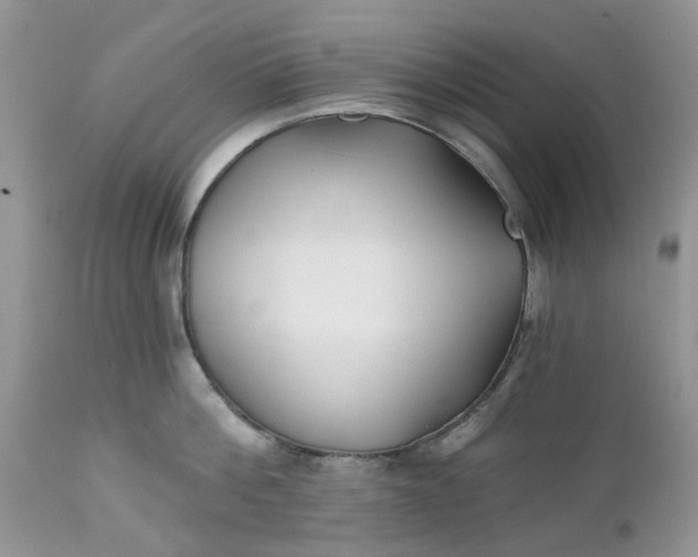 X0000112540812200908311445