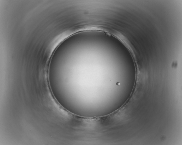 X0000112540813200908311445