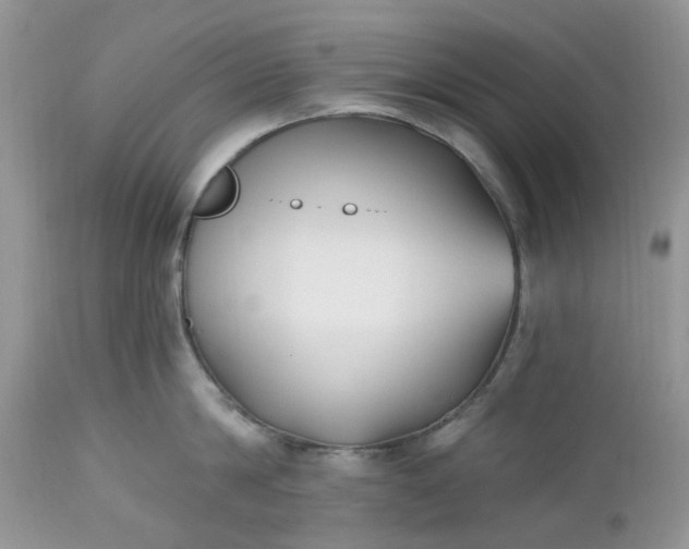 X0000112540814200908311445