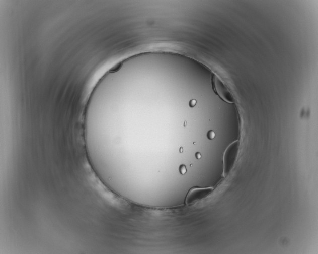 X0000112540816200908311445