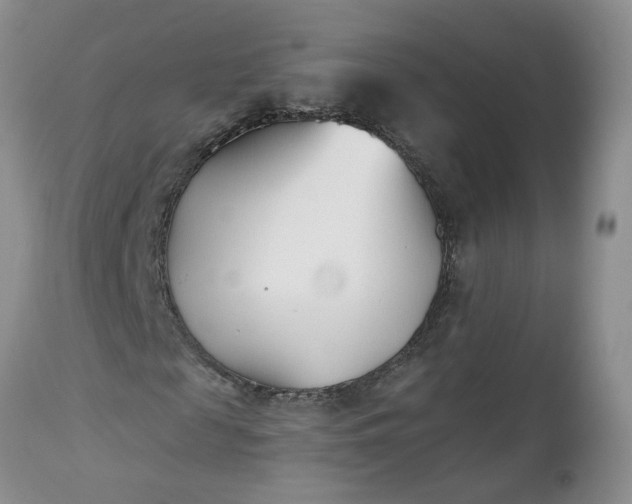 X0000112540817200908311444