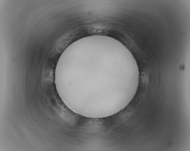 X0000112540820200908311444
