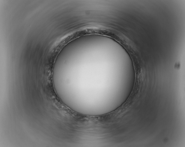 X0000112540822200908311444
