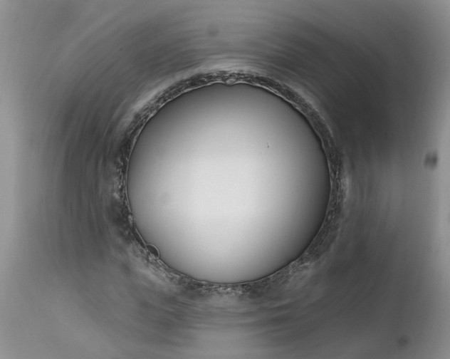 X0000112540823200908311444
