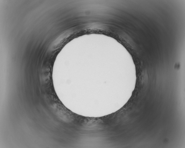 X0000112540824200908311444