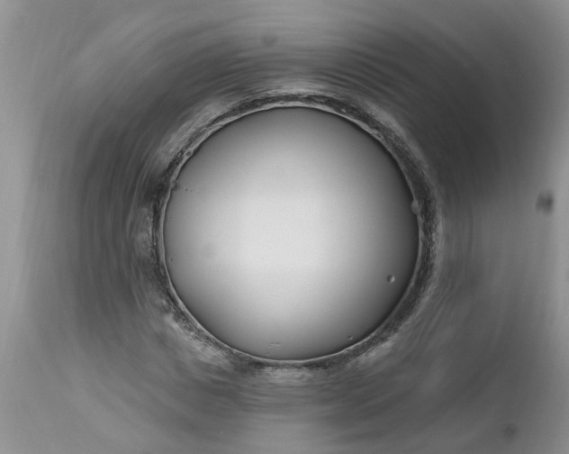 X0000112540825200908311444