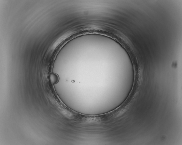 X0000112540826200908311444