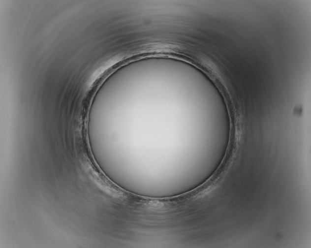 X0000112540827200908311444